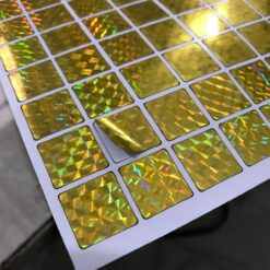 Whatsapp image 2025 07 23 at 21.05.50