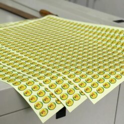 Whatsapp image 2025 07 23 at 21.05.49 (1)