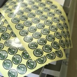 Whatsapp image 2025 07 23 at 21.05.49